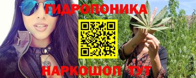 скорость Будённовск