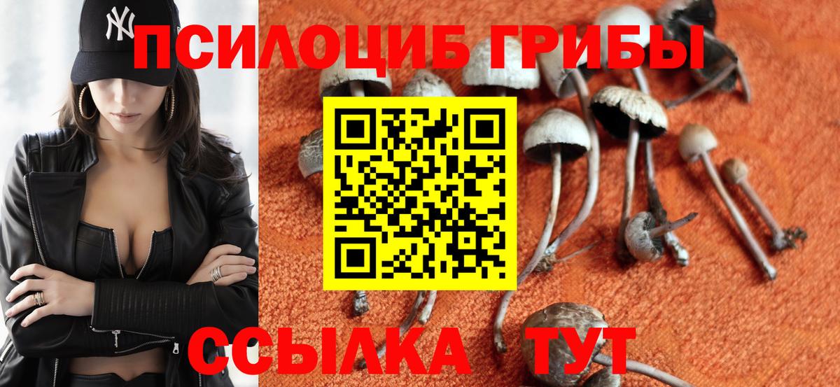 Омск  Галлюциногенные грибы Cubensis  Галлюциногенные грибы Psilocybe  Вход с VPN 